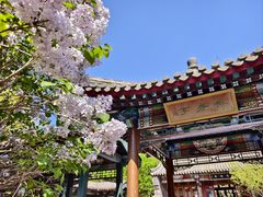 -沈阳植物园
