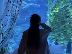 -南昌融创海世界