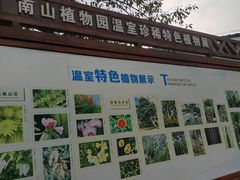 -南山植物园
