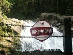 -九龙江国家森林公园