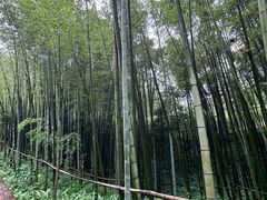 -马旺子酒楼
