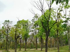 -牛岗山公园