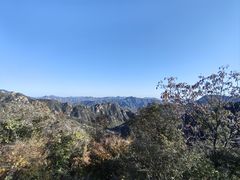 -大岭沟猕猴桃谷风景区