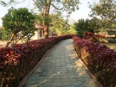 -涠洲岛-圣母堂
