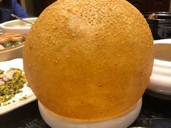 金甲大麻球-海景壹号大酒店(滨湖店)