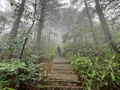 -罗田天堂寨风景区