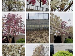 -新华百货商城（新街口物美）-停车场