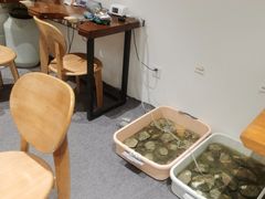 -十八字金银饰·拼豆·开蚌手工体验团建(君太百货店)