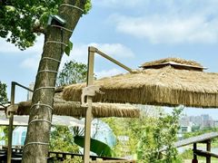 -麓湖湾·土菜院子(梅溪湖店)