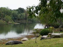 -洪湖悦兮半岛国际温泉度假村
