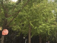 -重庆市江北嘴中央商务区中央公园