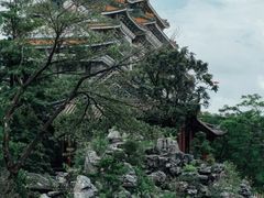 -顺峰山公园