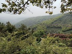 -东山风景区(洞庭东山)