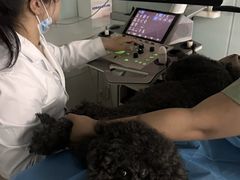 -达爱动物医院·犬猫分区·CT·复杂眼科(远洋山水分院)