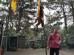 -石燕湖生态旅游景区