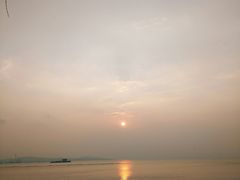 -50嵐鲜茶专卖连锁店(金城镇店)