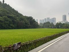 -贵阳市花溪国家城市湿地公园