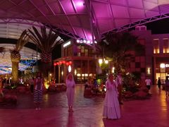 -三亚海昌梦幻海洋不夜城