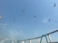 -海驴岛(荣成市)