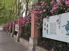 -上海市控江中学