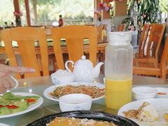 -兴隆槟榔园休闲农庄