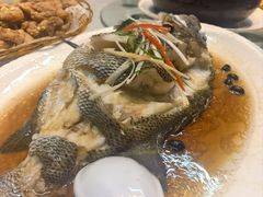 -莲花公园煎蟹(总店)
