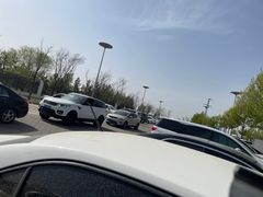 -鄂尔多斯野生动物园