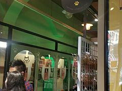 -猫咪博物馆(顶澳仔猫街店)