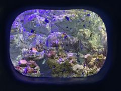 -欢乐海岸海洋奇梦馆