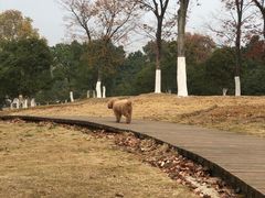 -钟山体育运动公园