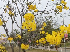 -广东财经大学(佛山校区)