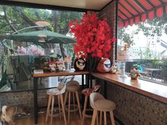 -柴犬高等学院·狗咖·柴犬售卖·宠物训练