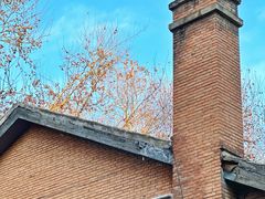 -西安电影制片厂