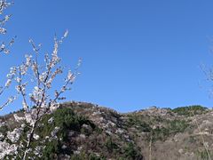 -北京鹫峰国家森林公园