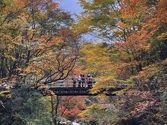 -光雾山旅游景区