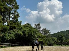 -枫露马术学院(藏书校区)