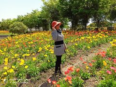 -鹅湖玫瑰文化园