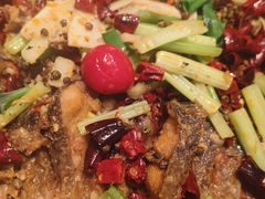 -老板恋上鱼(印象城店)