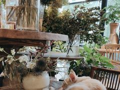 -自由生长植物工作室(深港花卉中心店)