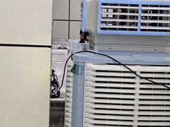 -奥冠体育华师附中恒温游泳馆