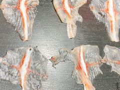 -京门活鱼馆·鱼火锅(百子湾（原红庙）店)