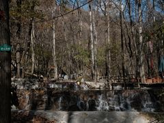 -牛背梁国家森林公园