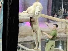 -清迈夜间动物园