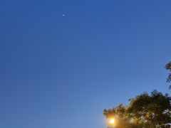 -麦当劳(山大路店)