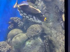 -福州罗源湾海洋世界旅游区