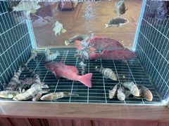 -北海富丽华大酒店·御园中餐厅