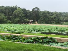 -磬锤峰森林公园