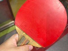 -帕拉泽羽毛球·篮球·乒乓球·健身