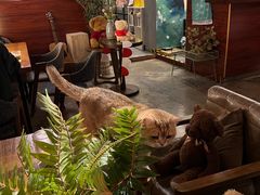 -咖法森林·咖啡  酒吧(天河店)