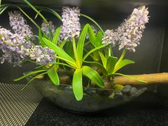 -茶叁酒肆·楚味江湖(菱角湖店)